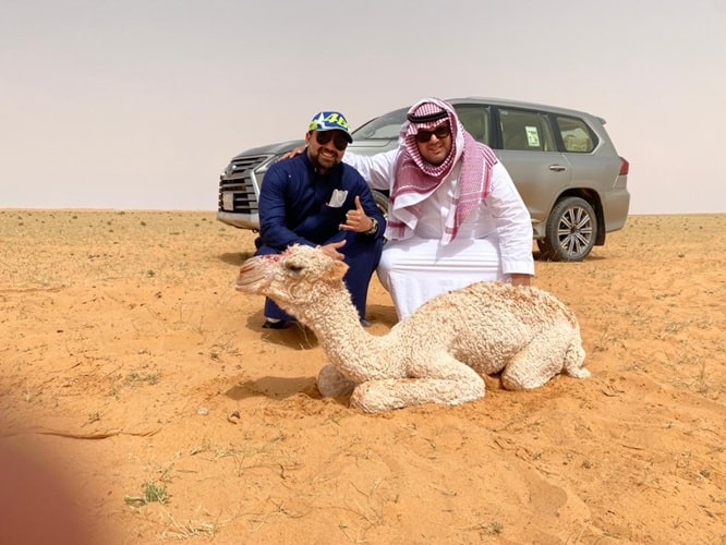 Camel Quest