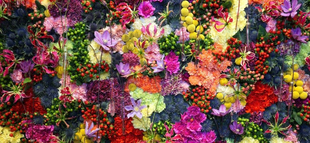 UAE’S Flower Market