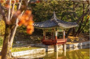 Seoul’s Palatial Gardens
