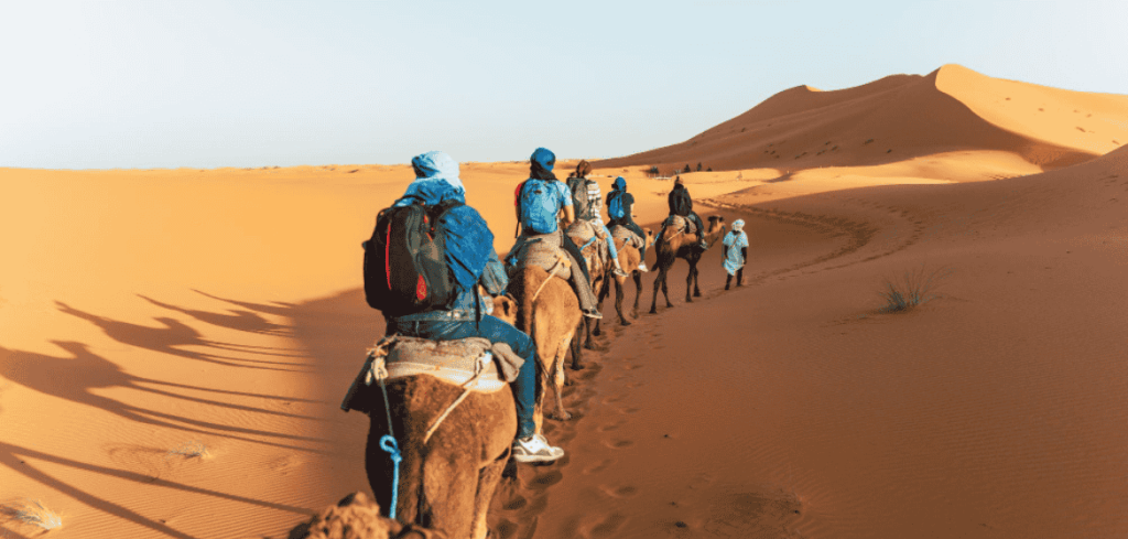 Tourism in Saudi Arabia: Transforming the Global Travel Landscape