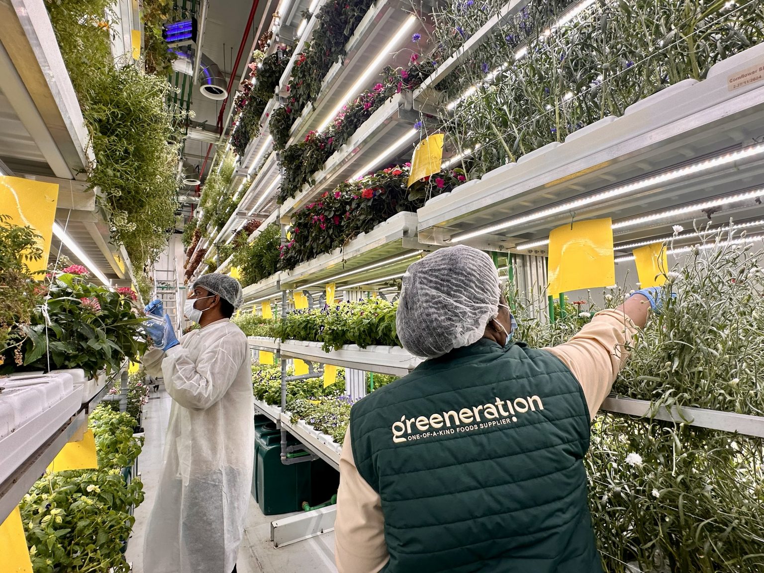 Why Local Sourcing Matters: Chef Dmitry Vinokurov Interview Greeneration