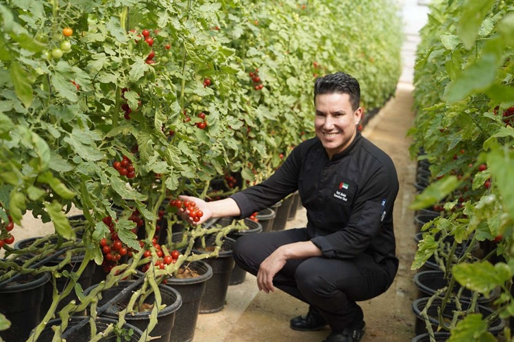 Oaks Ibn Battuta Gate Hotel Launches Sustainable F&B Initiatives Oaks Ibn Battuta Gate Hotel